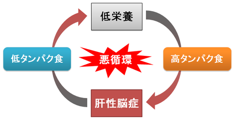 低栄養と肝性脳症の悪循環