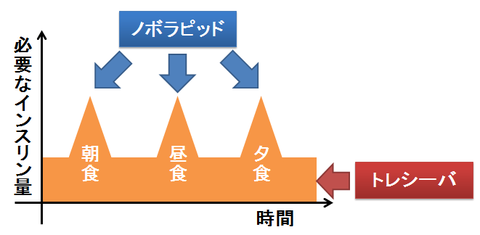 インスリン～basal-bolus