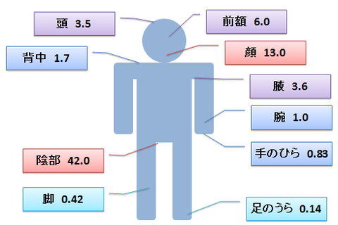 皮膚の厚さと吸収比