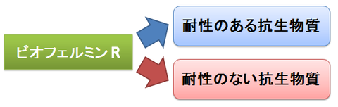 ビオフェルミンRの耐性