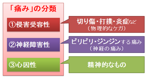 痛みの分類～原因により3つに分類される