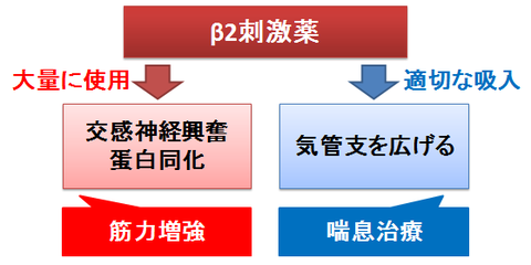 β2刺激薬とドーピング