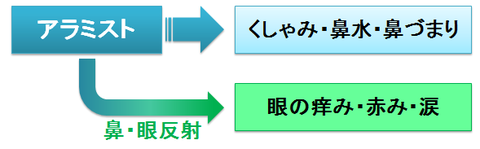 アラミスト～鼻眼反射