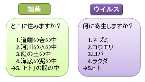 細菌とウイルス４～感染目的