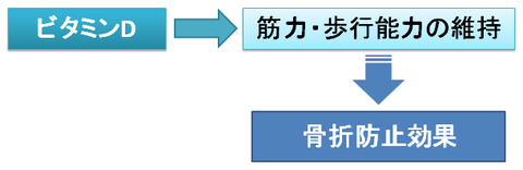 ビタミンDの骨折防止効果