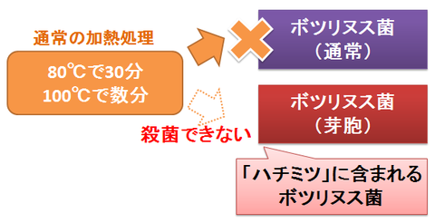 ボツリヌス菌の殺菌と芽胞