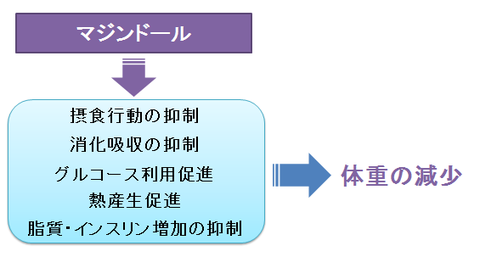 マジンドールの薬理作用