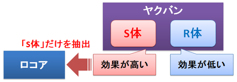 ロコア～ヤクバンのS体