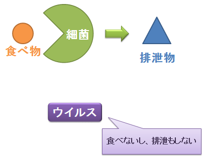 細菌とウイルス２～食べ物と排泄