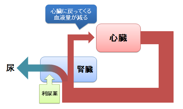 剤 心不全 利尿 心不全で薬物療法を受ける人への看護のポイント