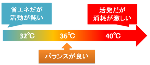 ヒトの体温が36℃な理由