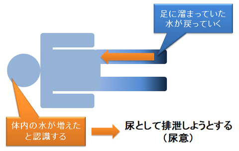 心不全と夜間頻尿２