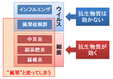 風邪と抗生物質～ウイルス性の感染症と細菌性の感染症