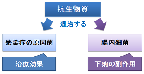 抗生物質で下痢をする理由