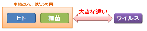 ウイルスと細菌と人間