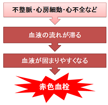 赤色血栓のでき方