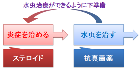 水虫とステロイド2