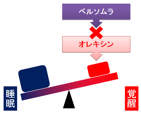 ベルソムラとオレキシン