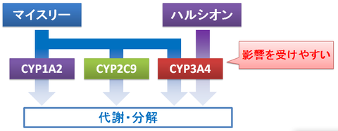 マイスリーとハルシオン～相互作用