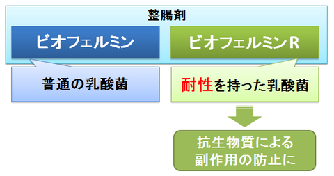 ビオフェルミンとビオフェルミンR2