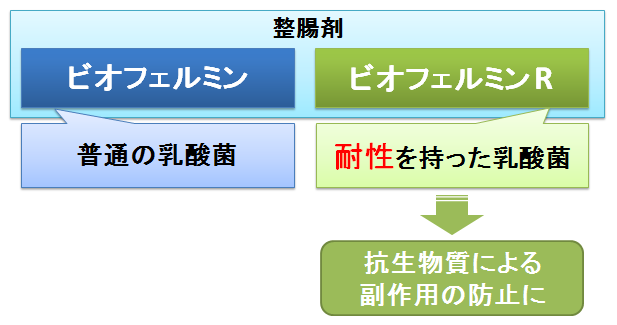 壊滅的な 冷蔵庫 放送 ビオフェルミン 錠剤 副作用 Yyaegaki Jp