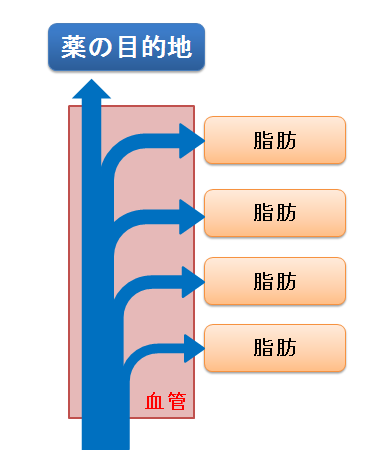 薬の分布と脂肪量