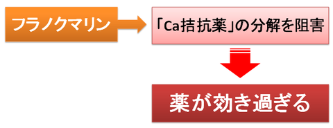 フラノクマリンとCa拮抗薬