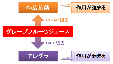 グレープフルーツジュースで作用が強くなるもの、弱くなるもの