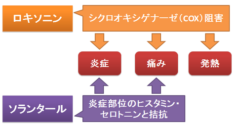 ロキソニンとソランタール～作用の違い