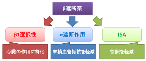 β遮断薬の進化系統