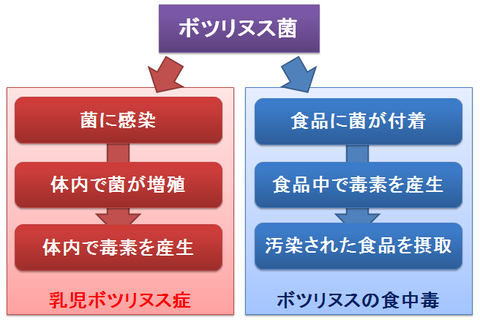 ボツリヌス症と食中毒