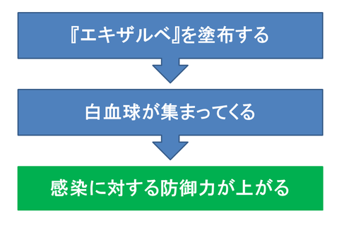 エキザルベの局所感染防御