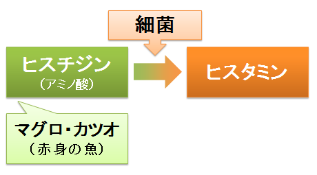 ヒスチジンとヒスタミン