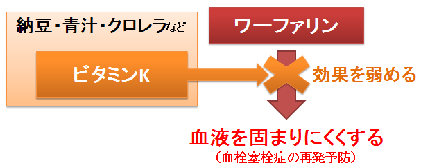 ワーファリン 服用中に納豆がダメなのは何故 ビタミンkの作用と 新薬との違い グレープフルーツやネバネバ食品に対する誤解 お薬q A Fizz Drug Information