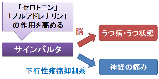 バルタ サイン