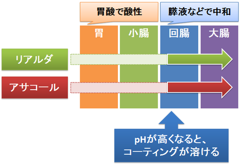 リアルダとアサコール～大腸へのDDS