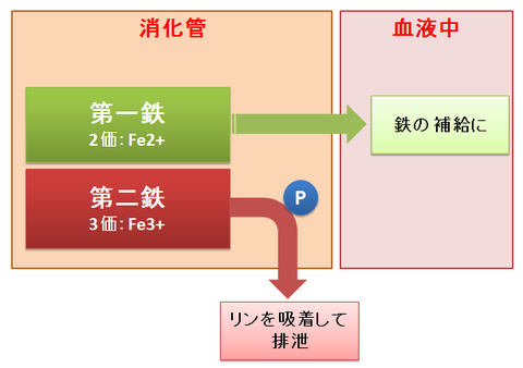 第一鉄と第二鉄の違い