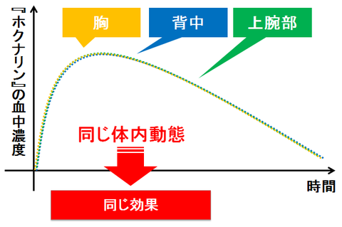 ホクナリン～貼る場所と体内動態