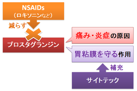 サイトテック～プロスタグランジンの補充と作用