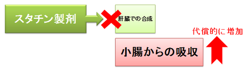 ゼチーアとスタチン～代償的な増加1