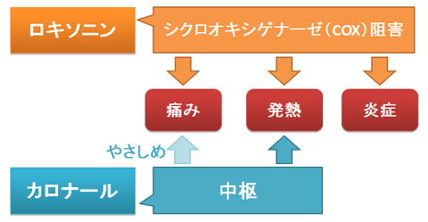 ロキソニンとカロナール～作用と痛み、炎症、発熱