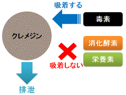 クレメジンの作用～毒素と消化酵素や栄養素