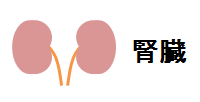index-kidney