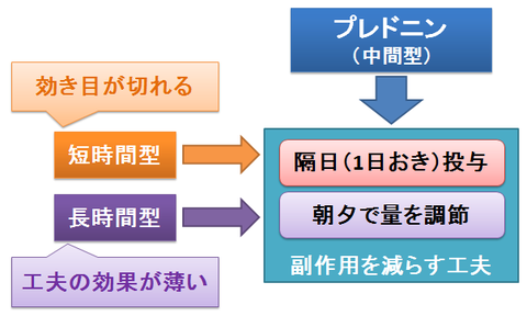 プレドニン～隔日投与と朝夕の調節