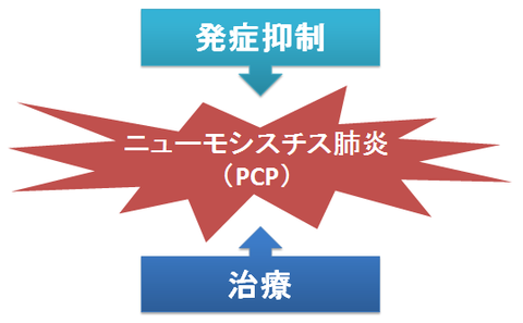 ST合剤とPCP治療、発症抑制