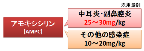 アモキシシリンの用量～中耳炎と副鼻腔炎に対する高用量