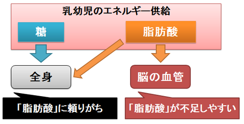 乳幼児のエネルギー供給～脂肪酸への依存