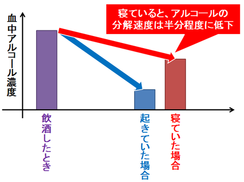 寝るとアルコールの分解速度は遅くなる