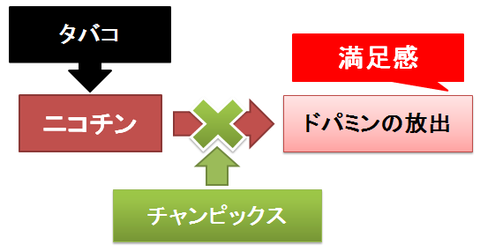 チャンピックス～ニコチンとドパミン