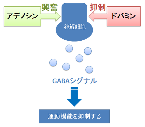 GABAシグナル